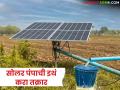 पैसे भरून सोलर मिळाले नाही, पंपात बिघाड झालाय, कंपनी योग्य नाही, इथं करा रीतसर तक्रार  - Marathi News | Latest News Did not get solar after paying, pump is broken, company is not suitable, file formal complaint here | Latest agriculture News at Lokmat.com