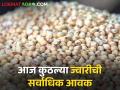 Sorghum Market : मालदांडी घसरली, शाळू चकाकली, सांगलीत मिळाला सर्वाधिक भाव, आजचे ज्वारीचे दर  - Marathi News | Latest News 02 april Todays Sorghum Market price in maharashtra bajar samiti | Latest agriculture News at Lokmat.com