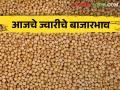 Sorghum Market : पुणे बाजार समितीत मालदांडी ज्वारीला काय भाव मिळाला? आजचे ज्वारीचे दर  - Marathi News | Latest news 11 april 2024 todays sorghum market price in market yards check details | Latest agriculture News at Lokmat.com