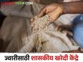 शासकीय ज्वारी खरेदी केंद्र सुरू होणार का? जिल्हा उपनिबंधक याबाबत काय म्हणाले? वाचा सविस्तर - Marathi News | The move to start government sorghum purchase center, what will benefit the farmers? | Latest agriculture News at Lokmat.com