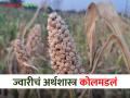 ज्वारीला मिळतोय इतक्या हजारांचा भाव; मात्र उत्पादन खर्चही निघेना - Marathi News | Sorghum is getting the price of so many thousands; However, the production cost did not go away | Latest agriculture News at Lokmat.com