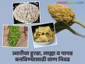ज्वारीपासून हुरडा, लाह्या व पापड बनवायचे असतील तर करा 'ह्या' तीन वाणांची पेरणी - Marathi News | If you want to make hurda, lahya and papad from jowar, sow these three varieties | Latest agriculture News at Lokmat.com