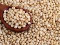 ज्वारीची श्रीमंती वाढली; गव्हापेक्षाही जास्त भाव - Marathi News | Sorghum wealth increased; Prices higher than wheat | Latest akola News at Lokmat.com