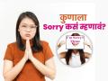 नुसतं सॉरी म्हंटलं की झालं? पाहा माफी मागण्याची योग्य पद्धत, मनापासून सॉरी नेमकं म्हणायचं कसं.. - Marathi News | Research shows how to say sorry right way of apologizing sorry | Latest sakhi News at Lokmat.com
