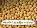 Soyabean Market : सोयाबीनची आवक वाढली, मागील आठवड्यात काय भाव मिळाला?  - Marathi News | Soyabean Market : Inflow of soybeans increased, what was the price last week?  | Latest agriculture News at Lokmat.com
