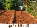 Kharif Sowing खरीप हंगामाची लगबग; धूळ पेरणीसाठी तयारी - Marathi News | Kharif Sowing At the end of the Kharif season; Preparation for sowing dust | Latest agriculture News at Lokmat.com