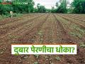 Marathwada Sowing : शेतकऱ्यांच्या कष्टांना पाणी नाही; दुबार पेरणीचा धोका? वाचा सविस्तर - Marathi News | latest news Marathwada Sowing: No water for farmers' hard work; Risk of double sowing? Read in detail | Latest agriculture News at Lokmat.com