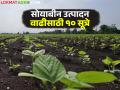 सोयाबीन उत्पादन वाढीसाठी पेरणी अगोदर करायला विसरू नका ह्या १० गोष्टी - Marathi News | Don't forget to do these 10 simple things before sowing to increase soybean production | Latest agriculture News at Lokmat.com