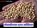 अमेरिकेसोबत खुल्या व्यापाराची हवा; सोयाबीन दरावर याचा कसा झाला परिणाम? वाचा सविस्तर - Marathi News | Open trade with America is needed; How has it affected soybean prices? Read in detail | Latest agriculture News at Lokmat.com