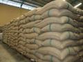 सिंगापूरहून सोयाबीन बोलविले; १.५६ कोटी रुपये हडपले - Marathi News | Soybeans called from Singapore; 1.56 crore was grabbed | Latest nagpur News at Lokmat.com