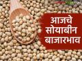 Soyabean Bajarbhav : राज्यात सोयाबीनची दीड लाख क्विंटलची आवक, काय बाजारभाव मिळाला?  - Marathi News | latest News soyabean bajarabhav 1 lakh 50 thousand arrival of soyabean see market price | Latest agriculture News at Lokmat.com
