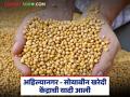 Soyabean Center List : अहिल्यानगर जिल्ह्यातील सोयाबीन खरेदी केंद्रांची यादी आली, इथे पहा संपूर्ण लिस्ट  - Marathi News | Latest news List of soybean procurement centers in Ahilyanagar district has been released, see complete list here | Latest agriculture News at Lokmat.com