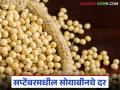 Soyabean Market : चालू सप्टेंबर 2025 मध्ये सोयाबीनचे दर काय राहतील, वाचा सविस्तर  - Marathi News | Latest News Soyabean Market What will be the soybean prices in September 2025, read in detail | Latest agriculture News at Lokmat.com