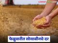 soyabean Market : सोयाबीनने MSP ओलांडली, या फेब्रुवारी महिन्यात क्विंटलला दर कसे राहतील?  - Marathi News | Latest news Soybean crossed the MSP Rate, what will be the price per quintal this February 2026 | Latest agriculture News at Lokmat.com