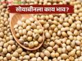 Soyabean Bajarbhav : सोयाबीनची आवक वाढली, लातूर, वर्धा, वाशिम बाजारात काय भाव मिळाला?  - Marathi News | Latest News Soyabean Bajarbhav Inflow of soybeans increased, see market price Latur, Wardha, Washim market | Latest agriculture News at Lokmat.com