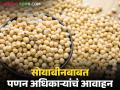 Soyabean Moisture : कमी आर्द्रता असलेले व एफएक्यू दर्जाचे सोयाबीनबाबत महत्वाचं आवाहन, वाचा सविस्तर  - Marathi News | Latest News Soyabean Moisture Soyabean Important appeal regarding low moisture and FAQ quality soybeans, read in detail  | Latest agriculture News at Lokmat.com