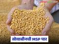 खुल्या बाजारात सोयाबीन 'एमएसपी'पार, 'नाफेड'ची केंद्रे गुंडाळली, दरवाढीची कारणे काय?  - Marathi News | Latest News Soybean prices in the open market have exceeded MSP, NAFED centres have closed | Latest agriculture News at Lokmat.com