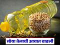 पाम तेलाची मागणी घटली, सोयाबीन तेल आयातीत 37 टक्क्यांची वाढ, नेमकं कारण काय?  - Marathi News | Latest news Demand for palm oil decreased, soybean oil imports increased by 37 percent | Latest agriculture News at Lokmat.com