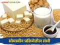 सोयाबीन पिकातून जास्तीचा नफा मिळविण्यासाठी सोया प्रक्रिया उद्योगात कशा आहेत संधी - Marathi News | What are the opportunities in the soybean processing industry to get more profit from the soybean crop? | Latest agriculture News at Lokmat.com