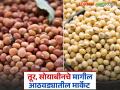 Tur, Soyabean Market : मागील आठवड्यात तूर, सोयाबीनला कसे दर मिळाले? वाचा सविस्तर  - Marathi News | latest News Tur soyabean market How did prices of tur and soybeans get last week | Latest agriculture News at Lokmat.com