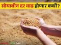Soybeans Market : आंतरराष्ट्रीय बाजारात सोयाबीनची घटली मागणी  - Marathi News | Soybeans Market : Decreased demand for soybeans in the international market  | Latest agriculture News at Lokmat.com