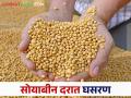 Soyabean Market : हमी भावाची शेतकऱ्यांना डोकेदुखी; उत्पादन खर्च निघेना  - Marathi News | Soyabean Market: Guaranteed price headache for farmers; No production costs  | Latest agriculture News at Lokmat.com