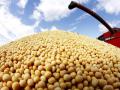 वायदेबंदीमुळे कापूस, साेयाबीनसह आठ शेतमालाचे दर दबावात - Marathi News | Prices of eight agricultural commodities including cotton, soybeans under pressure due to ban on futures | Latest nagpur News at Lokmat.com