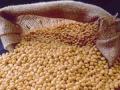 सोयाबीनच्या बाजारभावात १०० रुपयाने घट - Marathi News |  Soybean market rate reduced by Rs. 100 | Latest vashim News at Lokmat.com