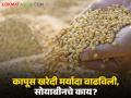 कापूस खरेदी मर्यादा वाढविली, साेयाबीनचे काय? राज्यभर सरसकट एकच अट, वाचा सविस्तर - Marathi News | Latest News Cotton purchase limit increased, what about soybeans Same condition across maharashtra | Latest agriculture News at Lokmat.com