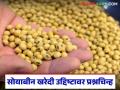63 दिवसांत 18.18 लाख टन साेयाबीन खरेदी होईल का? मागील वर्षीसारखं करू नका! - Marathi News | Latest News Soyabean Kharedi Will 18.18 lakh tonnes of soybeans be purchased in 63 days | Latest agriculture News at Lokmat.com