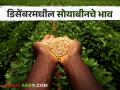 Soyabean Market : यंदा सोयाबीनचं आठ टक्क्यांनी उत्पादन अधिक असेल, बाजारभाव काय असतील?  - Marathi News | Latest News Soyabean Market 2024 year production of soybeans will be 8 percent more see December market price | Latest agriculture News at Lokmat.com