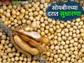 Soyabean Market : जुन्या सोयाबीनची आवक घटली, दरात समाधानकारक सुधारणा, वाचा सविस्तर  - Marathi News | Latest News Soyabean Market Inflows of old soybeans fall, prices improve read details  | Latest agriculture News at Lokmat.com