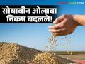 Soybean Procurement : सोयाबीन खरेदीत ओलाव्याचे निकष बदलले, वाचा सविस्तर  - Marathi News | Latest News Soybean Procurement Moisture criteria changed in soybean procurement, read in detail  | Latest agriculture News at Lokmat.com