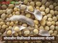 सोयाबीन विक्रीसाठी शेतकऱ्यांना प्रथमच मिळणार नॉमिनी सुविधा; कसा होणार फायदा? - Marathi News | Farmers will get nominee facility for the first time for selling soybeans; How will it benefit? | Latest agriculture News at Lokmat.com
