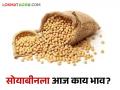 Soybean Market Update : सणासुदीमुळे शेतमालाची लातूरच्या बाजारात आवक; दर मात्र जैसे थे - Marathi News | Soybean Market Update: Inflow of farm produce in Latur market due to festival; But the rates were the same | Latest agriculture News at Lokmat.com