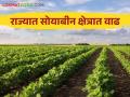 Soybean Market : सोयाबीनचे दर यंदा घसरले; तरी शेतकरी ओढा मात्र कायम - Marathi News | Soybean Market: Soybean prices fell this year; However, the farmer's line is still there | Latest agriculture News at Lokmat.com