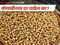 आज आठवड्याच्या शेवटच्या दिवशी सोयाबीनला काय बाजारभाव मिळाला? - Marathi News | Today's soyabean market prices in akola, washim, sambhaji nagar and Maharashtra | Latest agriculture News at Lokmat.com