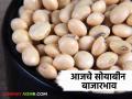 Soybean Bajar Bhav : धनत्रयोदशीच्या मुहूर्तावर सोयाबीनची आवक २६३७८ क्विंटल ; 'हा' मिळाला दर ते वाचा सविस्तर - Marathi News | Soybean Bajar Bhav: Soybean arrival 26378 quintals on the occasion of Dhantrayodashi | Latest agriculture News at Lokmat.com