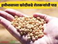 हमीभाव सोयाबीन खरेदी केंद्रांमुळे बाजारात सोयाबीन विक्री दरात वाढ होण्याची शक्यता - Marathi News | Minimum support price soybean purchase centers are likely to increase the selling price of Soybean in the market | Latest agriculture News at Lokmat.com