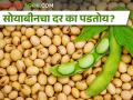 सोयाबीनचे उत्पादन घटूनही दरवाढ होईना पण का? - Marathi News | Soybean production will decrease but the price will not increase but why? | Latest agriculture News at Lokmat.com