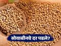 Soyabean Rate : सोयाबीनवर शून्य टक्के टॅरिफची अफवा; बाजारात दर पाडले, नेमकं प्रकरण काय?  - Marathi News | Latest News Rumors of zero percent tariff on soybeans; Prices have been slashed in market | Latest agriculture News at Lokmat.com