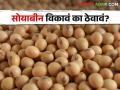 Soybean Market मागील वर्षभरात सोयाबीनचे दर कसे राहिले, यंदा वाढेल का भाव? - Marathi News | Soybean Market; How was the price of soybeans last year, will the price increase this year? | Latest agriculture News at Lokmat.com