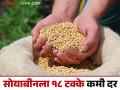 Soyabean Hamibhav : सोयाबीनला सरकारी हमीभावापेक्षा 18 टक्क्यांनी कमीच भाव, वाचा सविस्तर  - Marathi News | Latest News Soyabean Hamibhav Soyabean price 18 percent lower than government msp price, read details  | Latest agriculture News at Lokmat.com