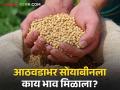 Soyabean Market : मागील आठवड्यात सोयबीनच्या आवकेत 17 टक्क्यांची घट, जाणून घ्या सविस्तर - Marathi News | Latest News Soyabean Market 17 percent decrease in arrival of soybeans last week, know in detail | Latest agriculture News at Lokmat.com