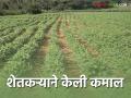 soybean crop : सोयाबीन पीकाचे विक्रमी उत्पादन घेऊन देशमुख आले प्रथम - Marathi News | soybean crop : Deshmukh came first with a record yield of soybean crop | Latest agriculture News at Lokmat.com