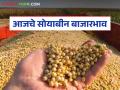Soybean Bajar Bhav : विदर्भ-मराठवाड्यात सोयाबीनचा बाजार तेजीत; नागपुरात प्रीमियम दर वाचा सविस्तर - Marathi News | latest news Soybean Bajar Bhav: Soybean market is booming in Vidarbha-Marathwada; Read the premium price in Nagpur in detail | Latest agriculture News at Lokmat.com