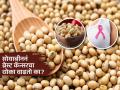 सोयाबीनमुळे खरंच ब्रेस्ट कॅन्सर होतो का? डॉक्टर सांगतात, आहार आणि कॅन्सरचा संबंध - Marathi News | Doctor tells does eating soybeans increase the risk of breast cancer | Latest sakhi News at Lokmat.com