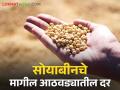Soyabean Market : आठवडाभरात सोयाबीनच्या दरात काय बदल झाला? जाणून घ्या सविस्तर - Marathi News | Latest News Soyabean Market Last week soybean prices Know in detail | Latest agriculture News at Lokmat.com