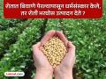 मंत्रोच्चार ऐकविले अन् सोयाबीन उत्पादन वाढले;मंत्रोच्चाराने सोयाबीनचे पीक वाढण्याचा दावा अशास्त्रीय - Marathi News | pune news the claim that chanting mantras can increase soybean yield is unscientific | Latest pune News at Lokmat.com