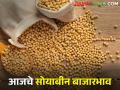 सोयाबीनला आज काय भाव मिळाला? जाणून घ्या आजचे बाजारभाव  - Marathi News | Latest news 24 Feb 2024 todays soyabin market price in maharashtra | Latest agriculture News at Lokmat.com